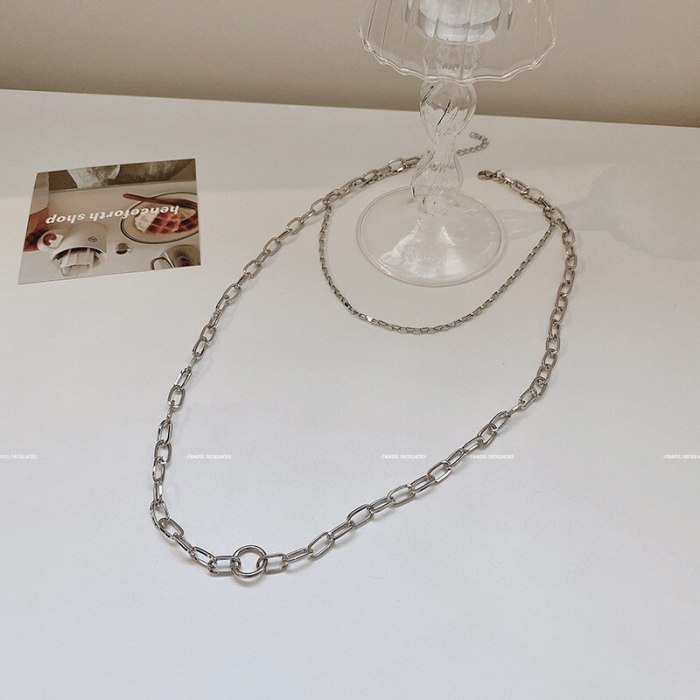 Double-Layer Titanium Steel Chain Necklace Female Ins Simple Clavicle Chain Pendant Temperament Sweater Chain