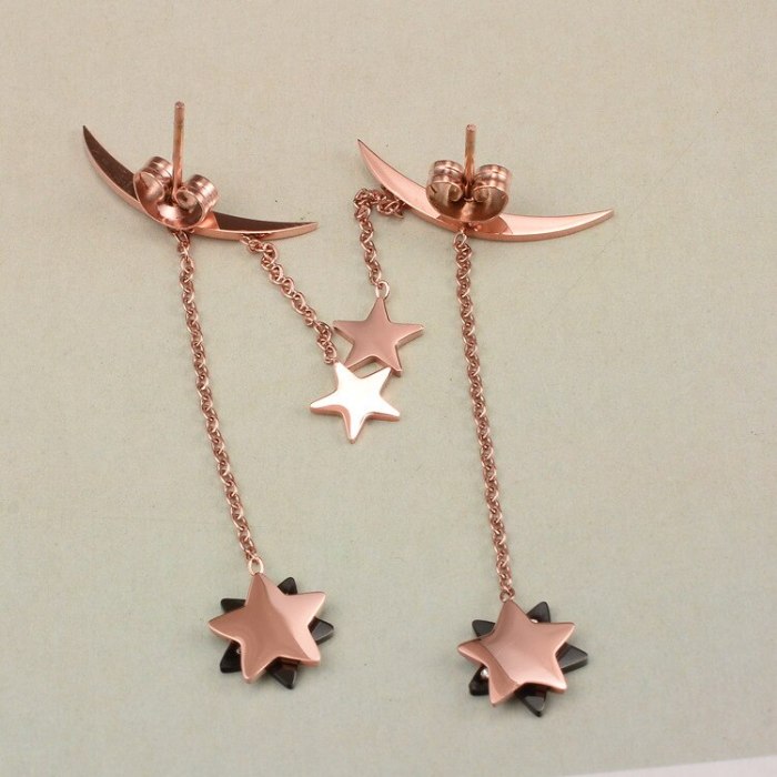 E20 Wholesale Fashion Moon Hanging Star Tassel Earrings Titanium Steel 18K Rose Gold Stud Earrings Fashion Ornament