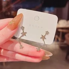 Sterling Silver Needle Geometric Starry Earrings for Women  wholesale  earings fashion