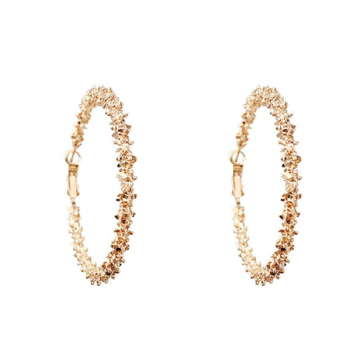 Wholesale Earrings 925 Silver Pin Circle Earrings Female Drop Earrings Jewelry Gift