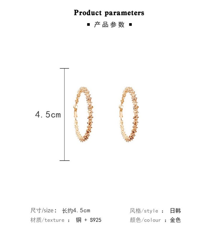 Wholesale Earrings 925 Silver Pin Circle Earrings Female Drop Earrings Jewelry Gift