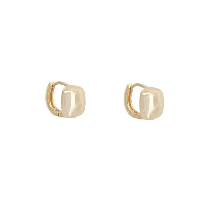 Wholesale Sterling Silver Pin New Geometric Ear Clip Earrings Women Stud Earrings Dropshipping Gift