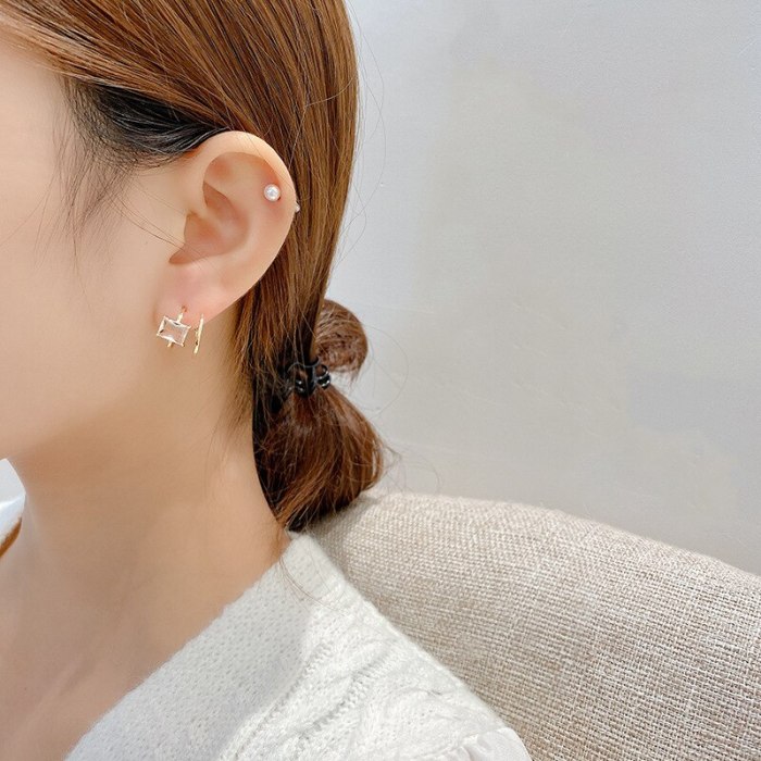 Wholesale Sterling Silvers Pin New Geometric Zircon Stud Earrings for Women Dropshipping Gift
