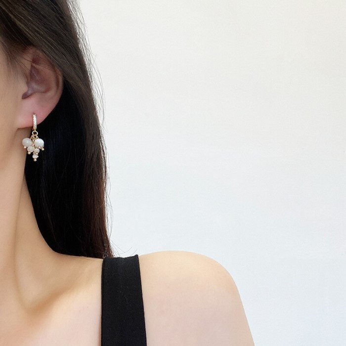 Wholesale New Tassel Opal Earrings Female Women S925 Silvers Stud Earrings Dropshipping Gift