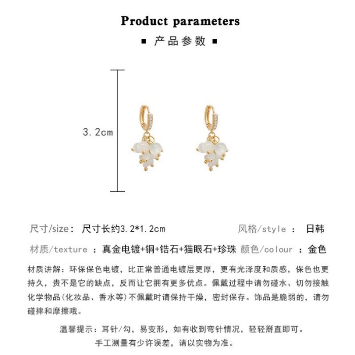 Wholesale New Tassel Opal Earrings Female Women S925 Silvers Stud Earrings Dropshipping Gift