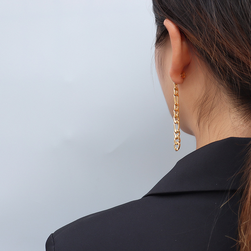 Thick Chain Long Earrings for Women Hip Hop Punk Dangle Earring