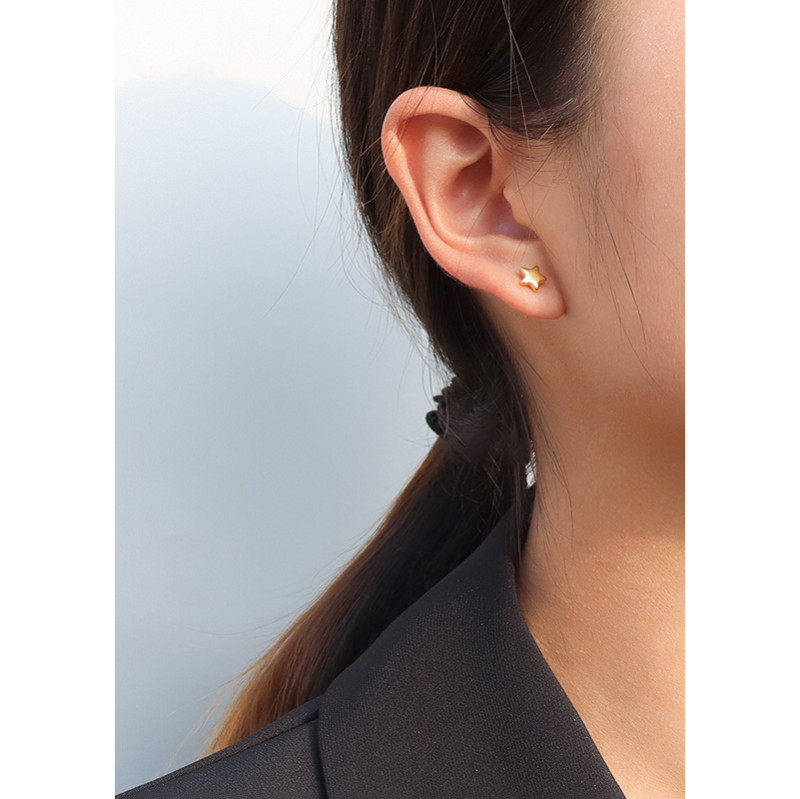 Star Earrings Cute Flower Stud Earring Black Earings Stainless Steel Earrings for Women Statement Jewelry Wholesale