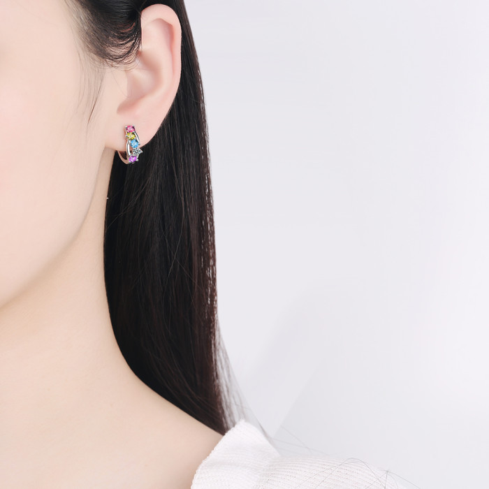Wholesale S925 Sterling Silver 2021 Trendy Women's Fashion Jewelry High Quality  Crystal Zircon Earrings Gold Silver Earrings
