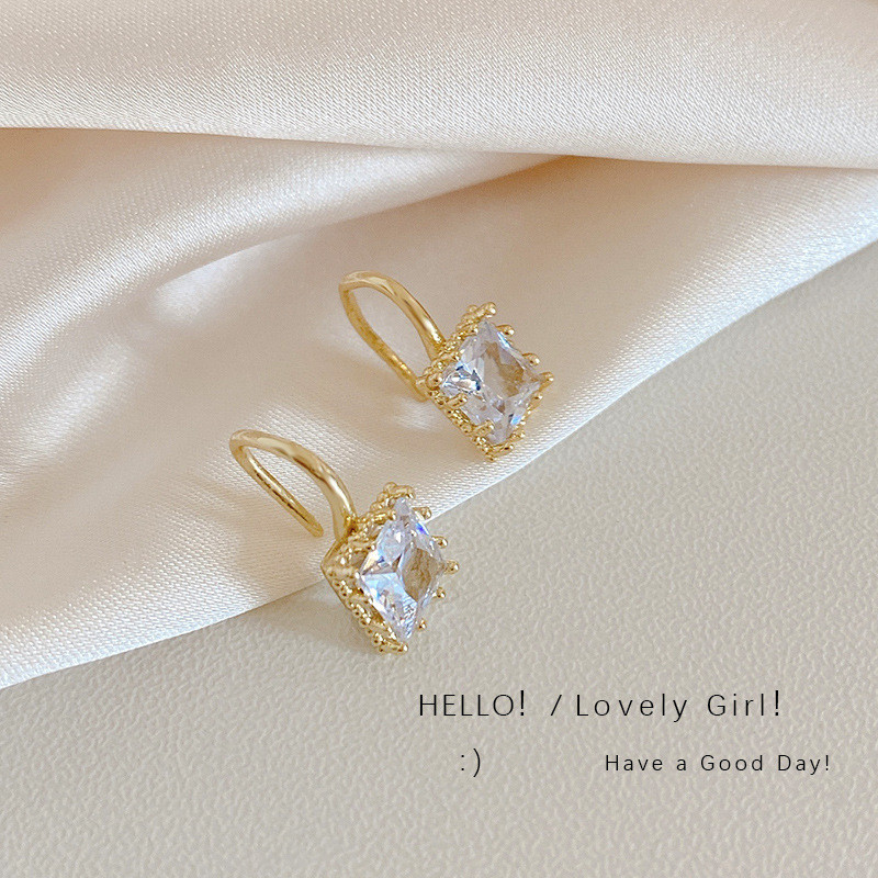 Korean Version Exquisite Small Simple Square Zircon Ear Hook Black Diamond and White Diamond Female Silver Earring