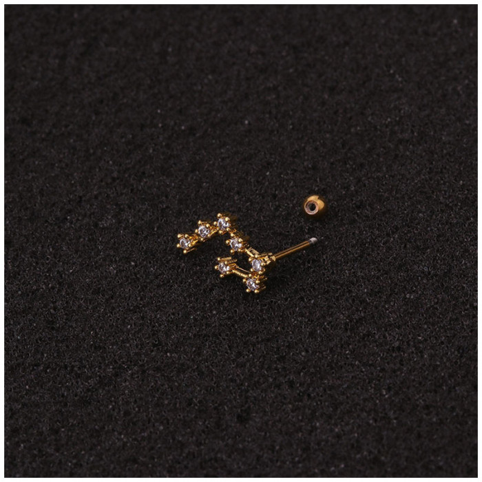 1Piece Korean Piercing Twelve Constellation Stud Earrings for Women Jewelry  Fashion Screw Zircon Earrings