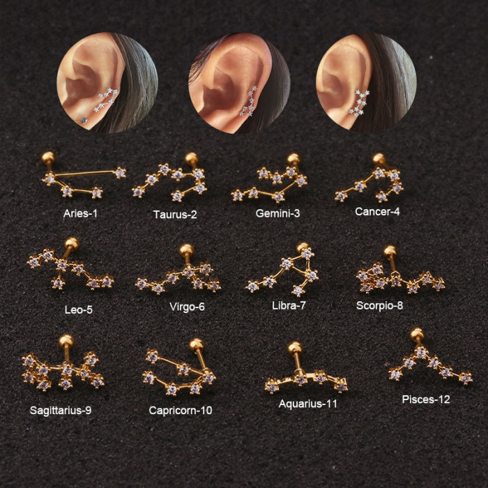1Piece Korean Piercing Twelve Constellation Stud Earrings for Women Jewelry  Fashion Screw Zircon Earrings