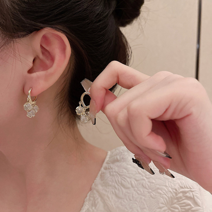 Korean Opal Flower Drop Earring Exquisite Crystal Tassel for Women Party Jewelry Gifts