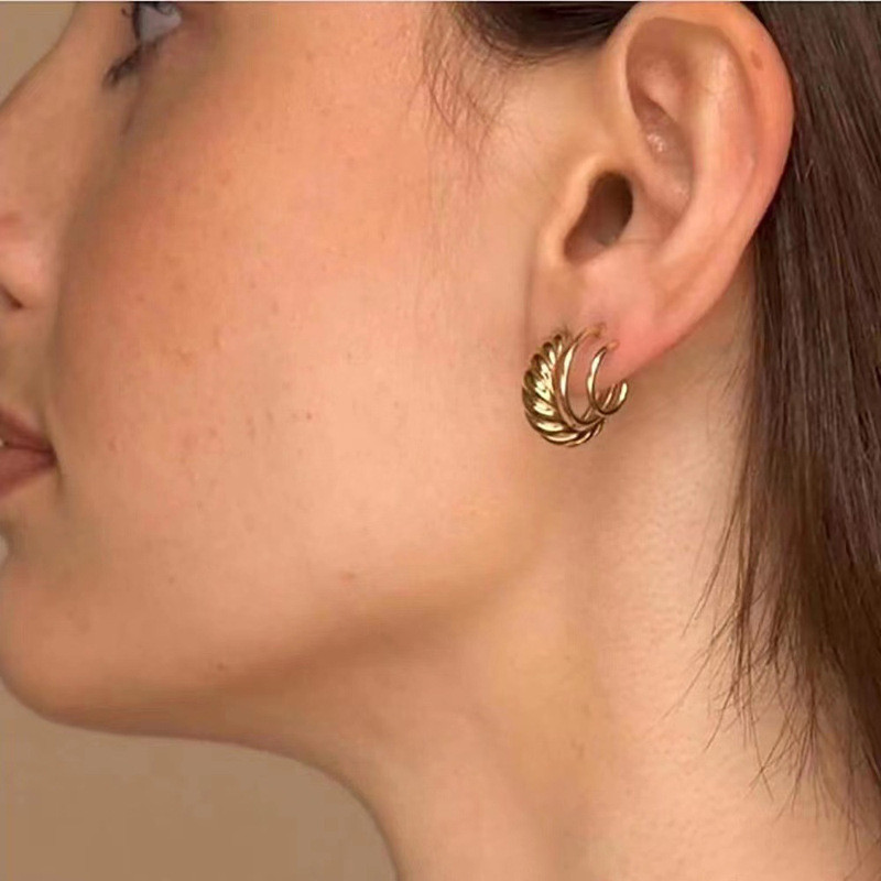 Light Luxury Style Stainless Steel Cast Earrings Women's Trend 18K Gold Retro Titanium Steel Hoop Earrings