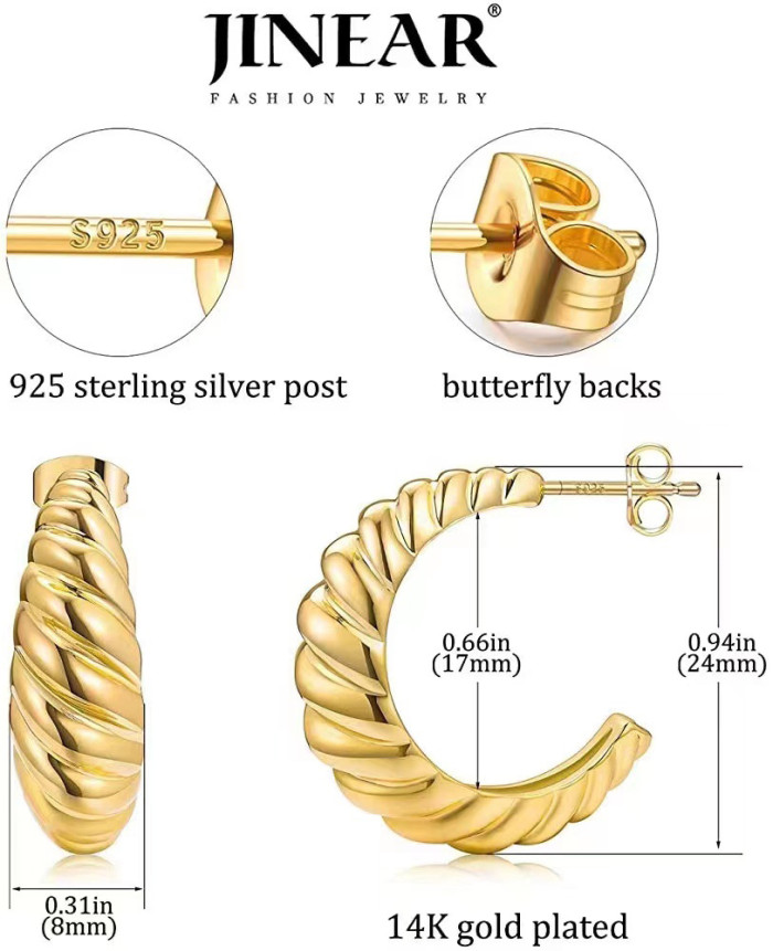 Light Luxury Style Stainless Steel Cast Earrings Women's Trend 18K Gold Retro Titanium Steel Hoop Earrings