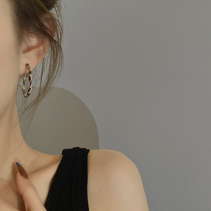 Newest Circle Earrings For Women Trendy Leopard Painting Twist Stud Simple Geometric Ear Jewelry