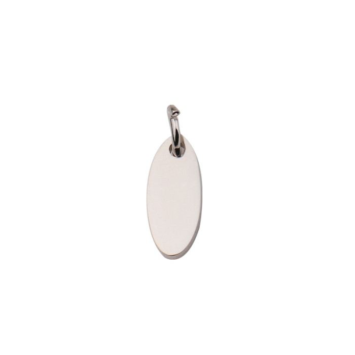 Stainless Steel Oval Tail Tag DIY Can Carve Writing Oval Tag with Hanging Tag