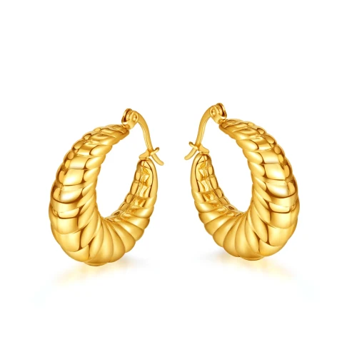 Ornament Fashion Hot Selling Irregular Titanium Steel Earrings Personality Electroplated Gold Earrings