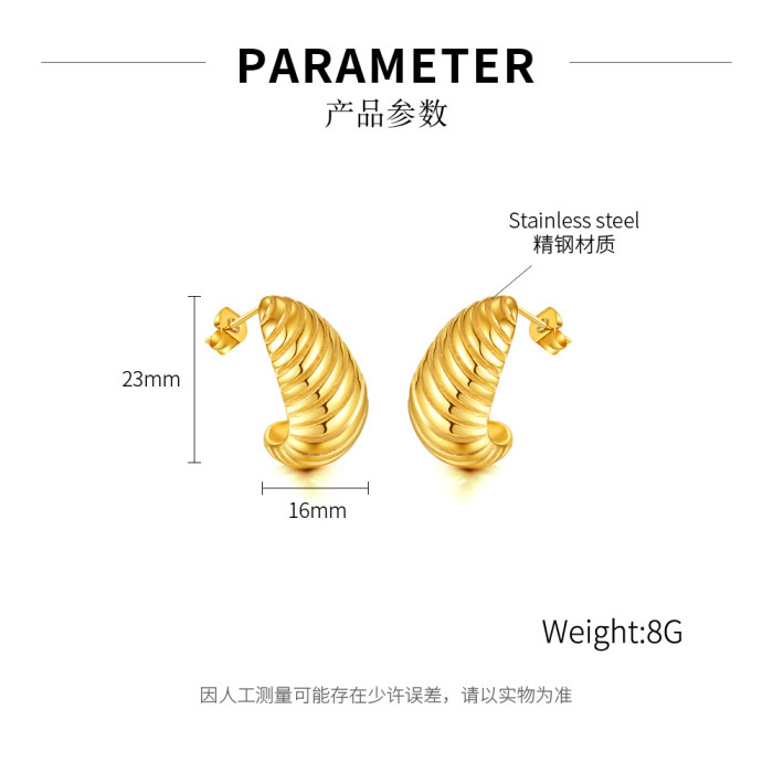 Ornament Fashion Ins Titanium Steel Earrings Irregular with Personality Spiral Pattern Stainless Steel Earrings for Women