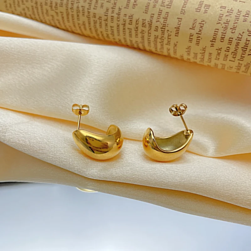 Ornament Ins Style Stainless Steel Studs Earrings Wholesale Titanium Steel Earrings