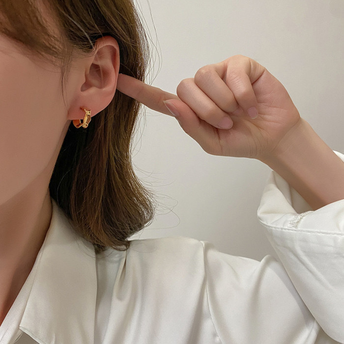 925 Silver Needle Jewelry Geometric Metal Stud Earrings Irregular with Personality Simple Earrings