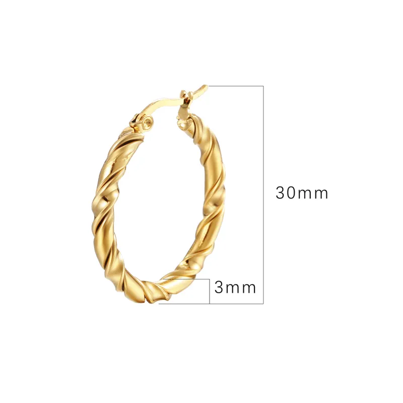 Stainless Steel Womens  Big Hoop Earrings Twisted Party Rock Gift Gold Plated Jewelry