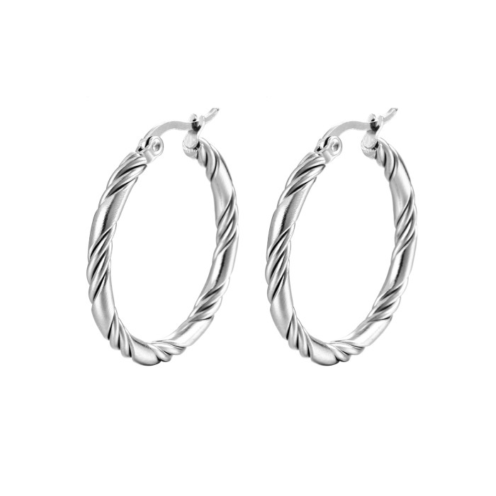 Stainless Steel Plated with 18K Gold Plated Twist Hoop Earrings for Women Simple  Hypoallergenic Jewelry