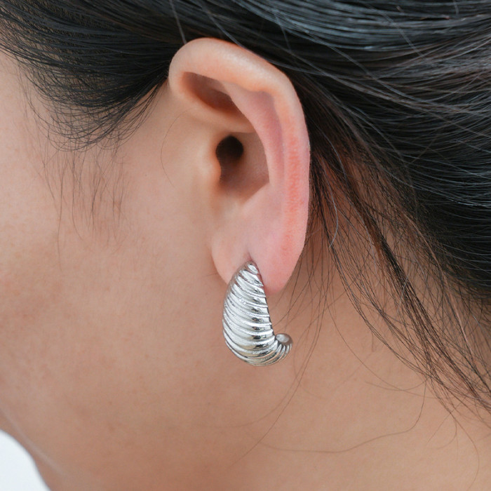 Stainless Steel Drop Earrings statement earrings