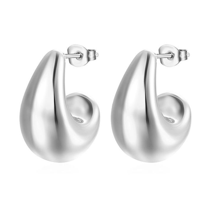 Stainless Steel Drop Earrings women