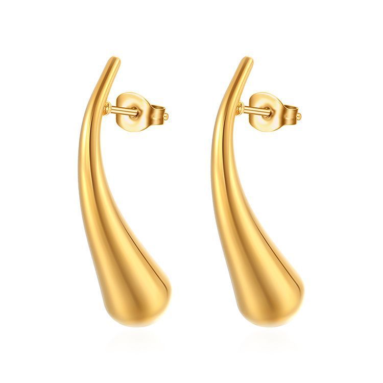 Stainless Steel Drop Earrings  korean earrings