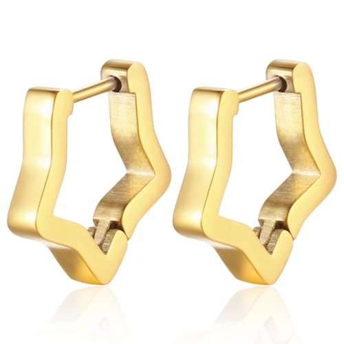 Classic Stainless Steel Hoop Earrings for Women Men Star  Gold Color Punk Hip Hop Jewelry