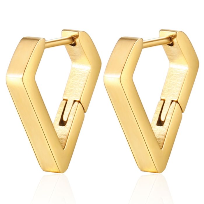 Stainless Steel Hoop Earrings for Women Gold Color Tiny Helix Hoops Ear Piercing
