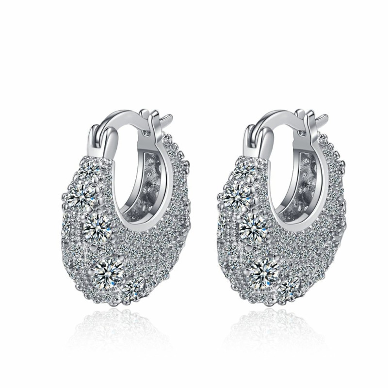 Unique and Exquisite Earrings for Women