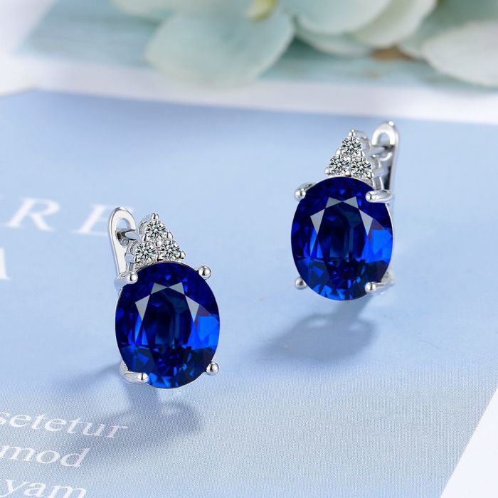 High-Grade Inlaid Egg-Shaped Zircon  Earrings