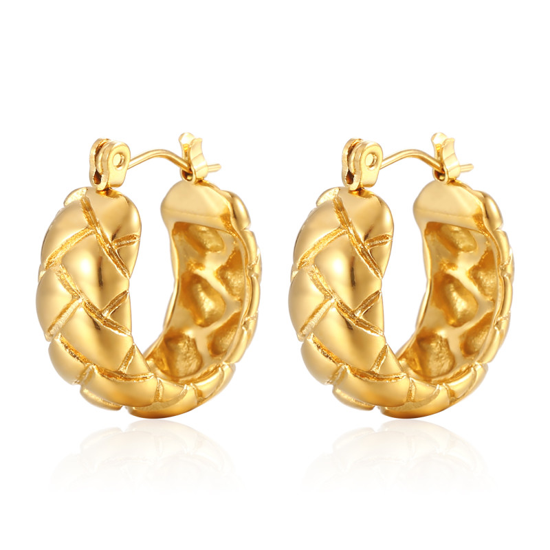 Stainless Steel Gold Earrings Trendy Earings