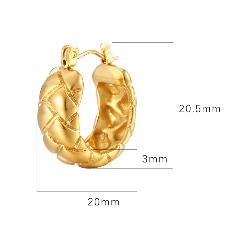 Stainless Steel Gold Earrings Trendy Earings