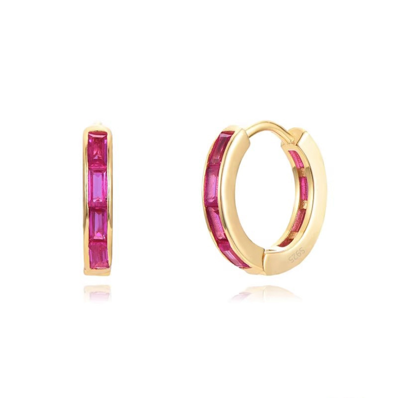 Chic Hypoallergenic Circle Cz Zircon Hoop Earrings For Women Stylish Trendy Party Festival Casual Jewelry Gift 216045299181