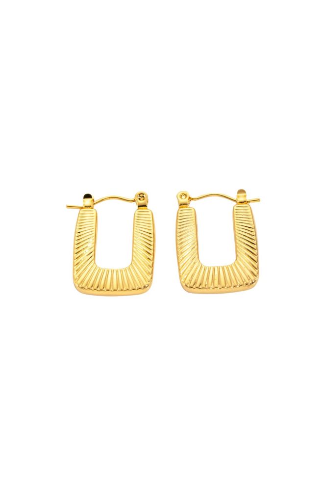 Flyfyp Stainless Steel Chunky Waterproof Hoop Earrings for Women Charm Temperament Geometric Thick Earring Jewelry