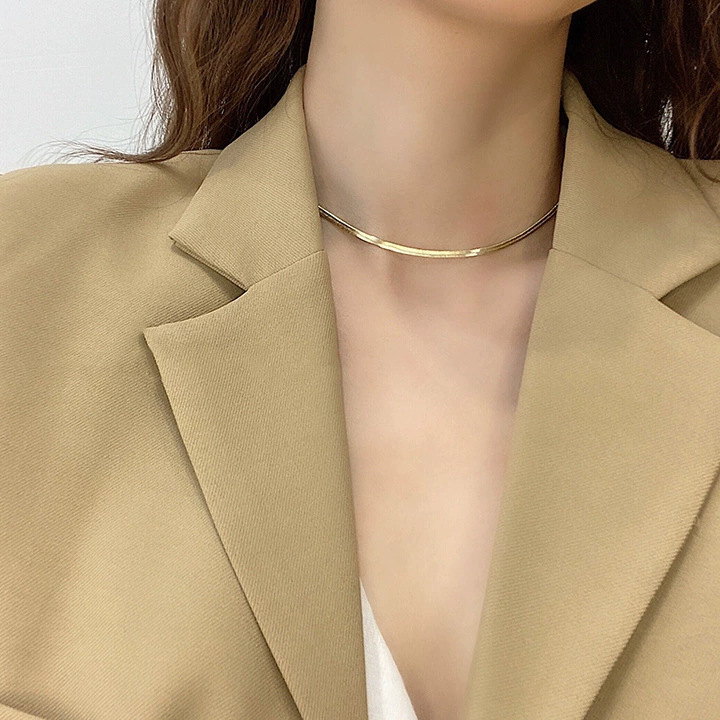 Simple single layer 18K gold titanium steel necklace for women ins ins cold style hip-hop retro niche versatile collarbone chain