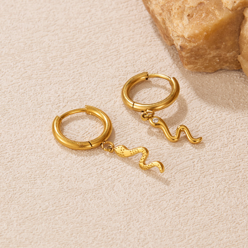 316L Stainless Steel Chain Earrings for Women Drop Earrings Geometric Round  Snake Charms Hanging Earring Jewelry