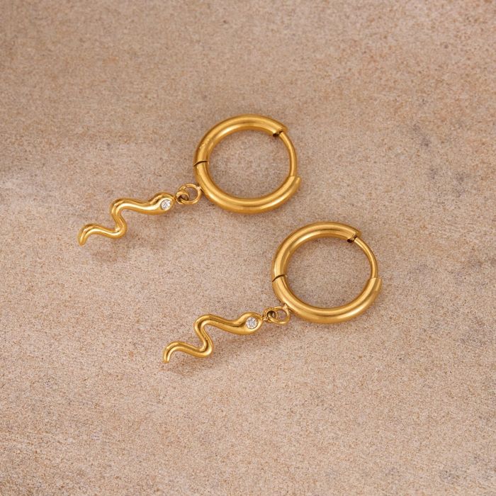 316L Stainless Steel Chain Earrings for Women Drop Earrings Geometric Round  Snake Charms Hanging Earring Jewelry