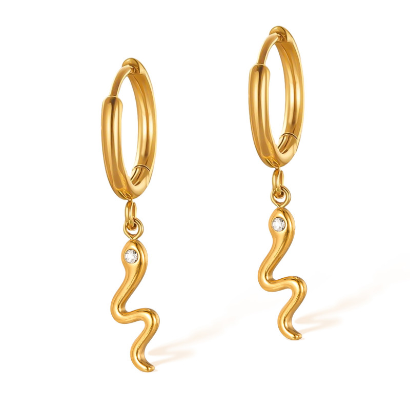 316L Stainless Steel Chain Earrings for Women Drop Earrings Geometric Round  Snake Charms Hanging Earring Jewelry