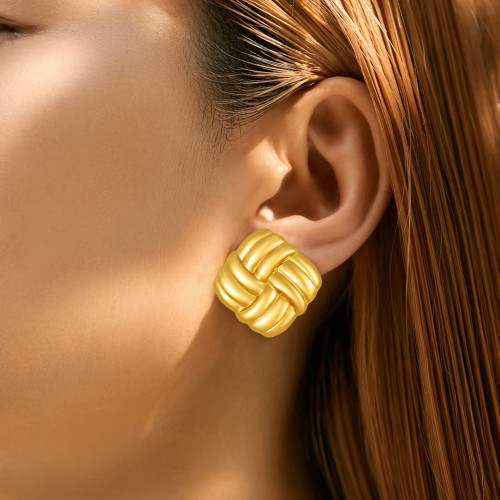 Korean Version Simple High-End Square Twisted Titanium Steel Earrings for Women, Niche Design, Light Luxury Texture, Vintage Internet Celebrity Earrings