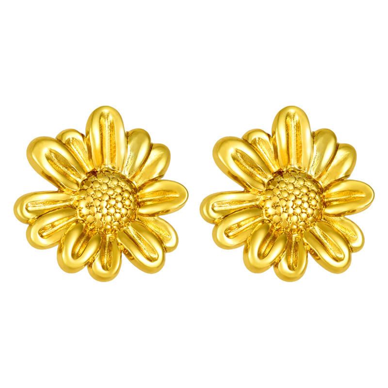 Cross-Border Hot Sale Stainless Steel Earrings 18K Gold High-End Feel Earrings European and American Trendy Earrings Ear Studs Ear Hoops Wholesale Jewelry