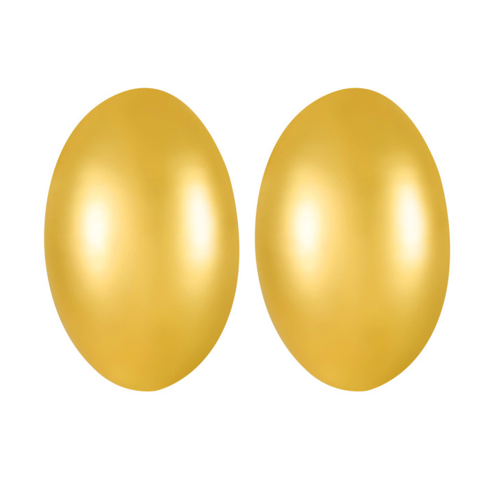 European and American 18K Gold Stainless Steel Matte Brushed Oval Earrings Studs Ins Internet Celebrity Style Simple Earrings
