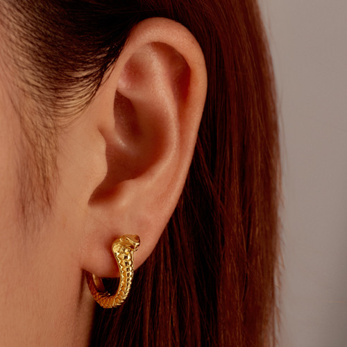 Cross-Border New Luxury High-End Personality Exaggerated C-Shaped 18k Earrings Snake Texture Stainless Steel Earrings for Women