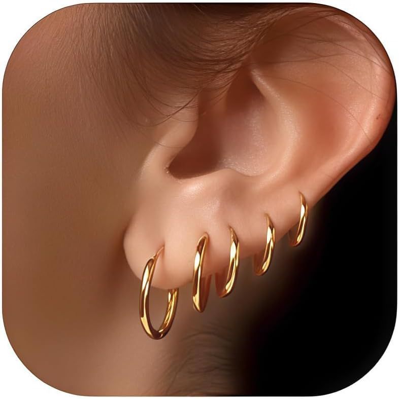 European and American Niche Hoop Earrings for Women, Lightweight and Simple Small Hoops, Hypoallergenic, Nickel-Free, Lead-Free, Non-Tarnishing, Sensitive Ear Jewelry
