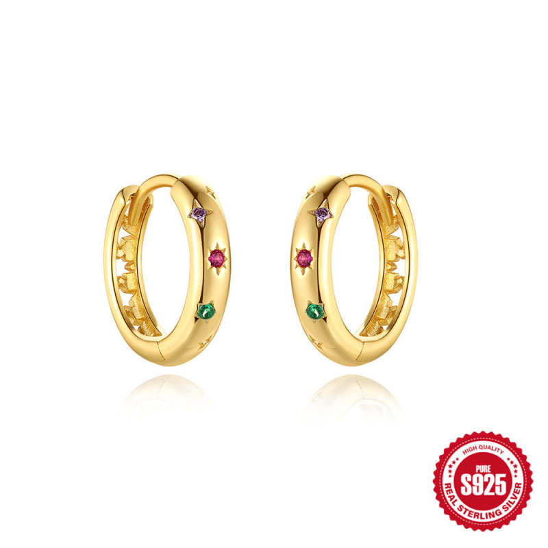 925 Sterling Silver Earrings for Women High-end Sense Ear Jewelry Ins Light Luxury Dopamine Accessories Exquisite Star Chinese Style Ear Buckle Ear Hoop