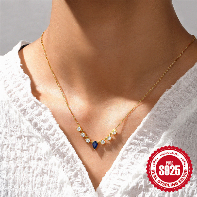 925 Sterling Silver Elegant Niche Design Clavicle Chain Necklace European and American Hot Selling Diamond-Encrusted Personality High-End Light Necklace