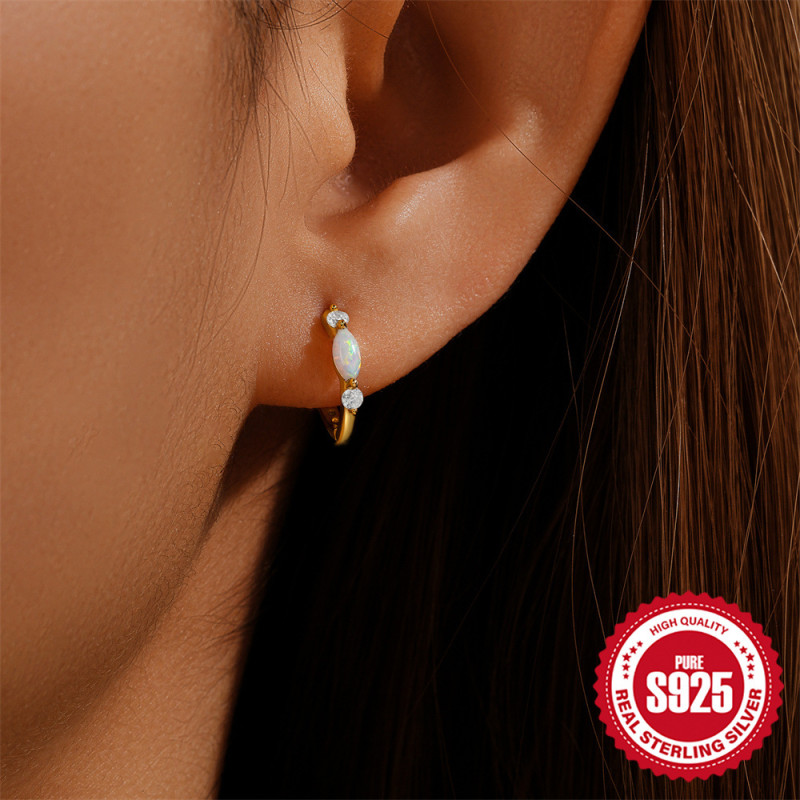 New S925 Sterling Silver Round Micro Pave Zircon Opal Earrings Hoop Earrings Fashionable High-end Temperament Earrings