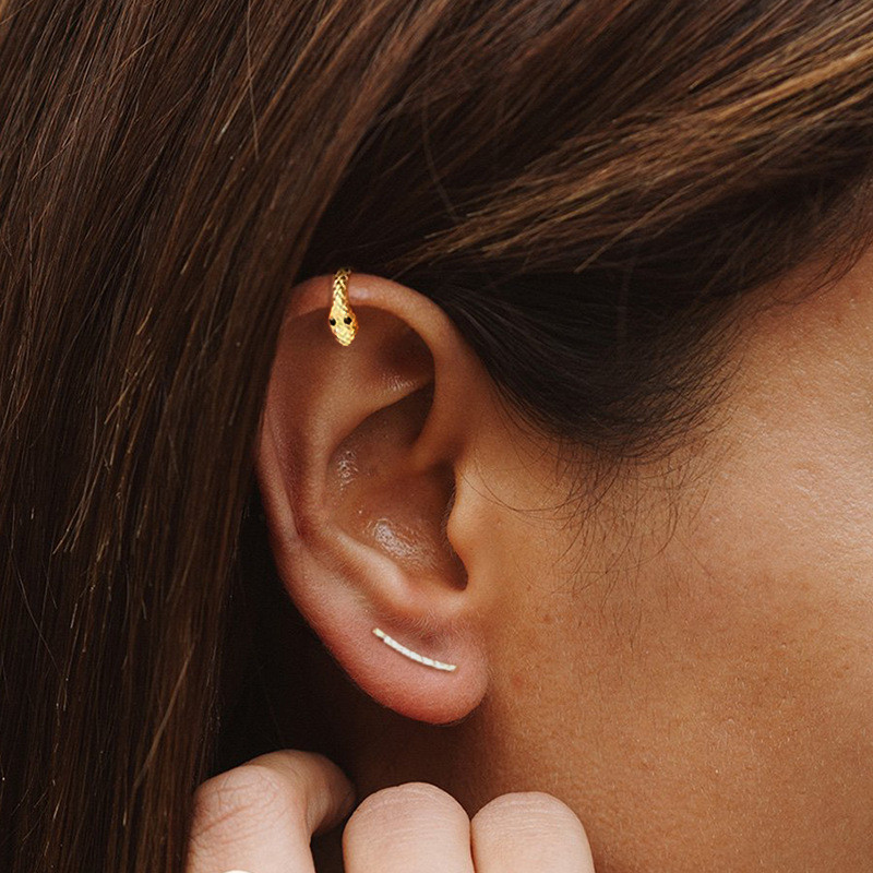 S925 Sterling Silver Minimalist Snake Shape Hoop Earrings European and American Hot-Selling Personality Simple Creative Earrings